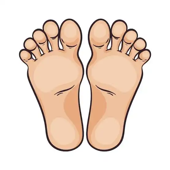 pieds