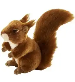 ecureuil