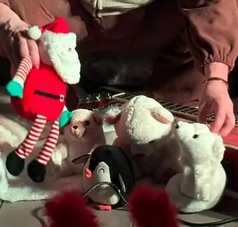 pere noel et animaux
