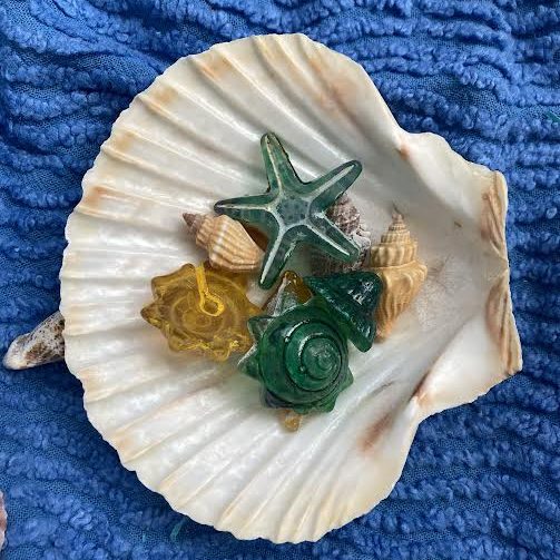 coquillages dans coquillages